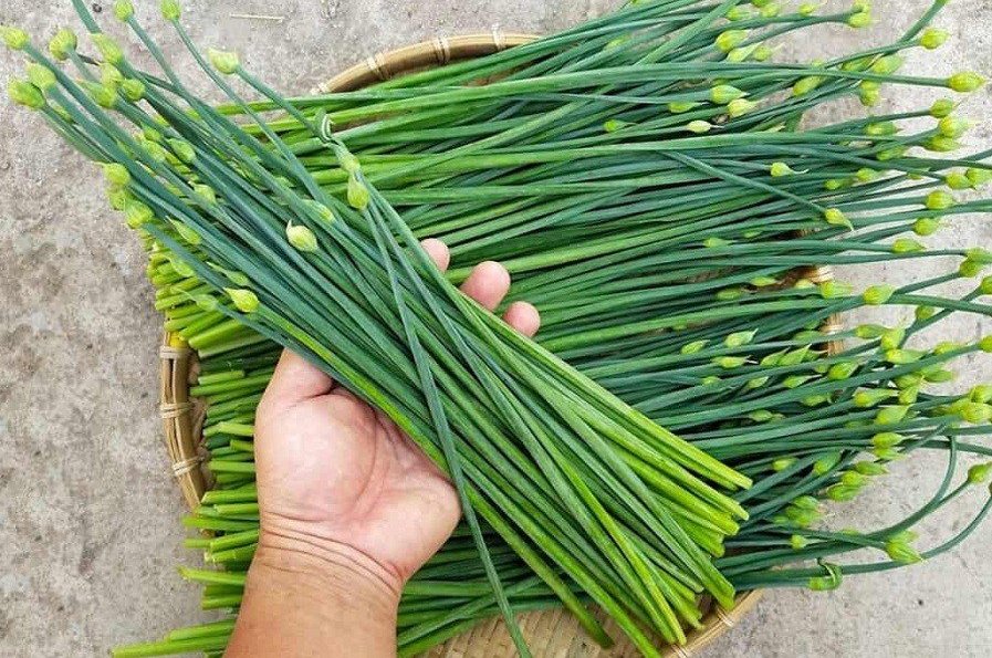 4 loại rau rẻ như cho &#34;bổ hơn thịt&#34; bán đầy chợ nhưng ít người biết - 1