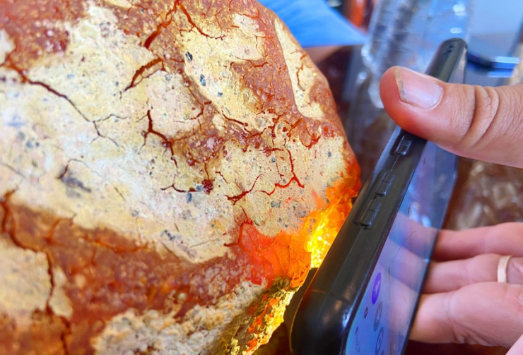 Một người dân ở Gia Lai sở hữu khối đá quý nghi long diên hương - 2