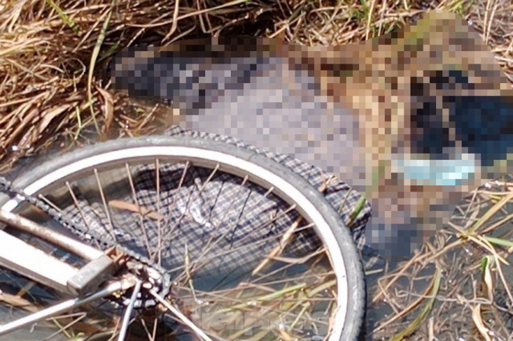 Nam thanh niên đi xe đạp ngã xuống ruộng tử vong - 2