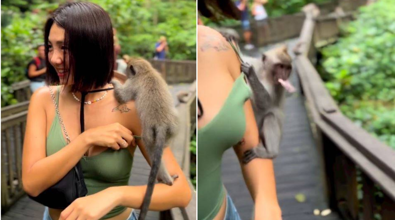 Người đẹp Hàn Quốc gặp sự cố khi mặc áo dây đi thăm khỉ ở Bali - 1