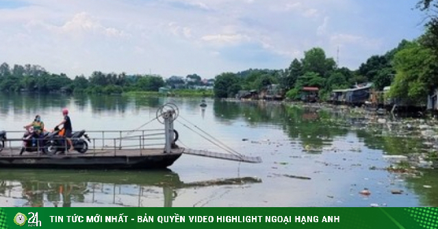 Video: Sau cơn mưa, rác ngập sông Đồng Nai