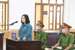 Đang xét xử 'Hotgirl' Tina Dương với 2 tội danh