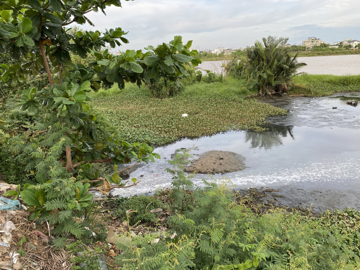 CLIP: Kinh hoàng nước thải đen ngòm đổ ra sông ở Đà Nẵng - 1