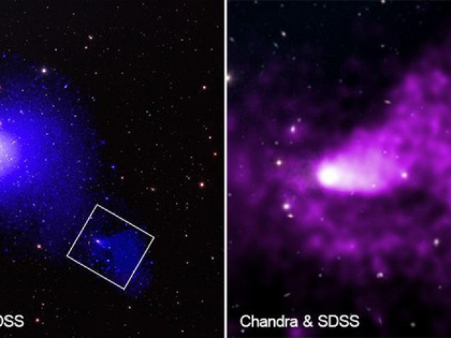NASA chụp được “quái vật” khủng khiếp nhất vũ trụ, nuốt cả cụm thiên hà