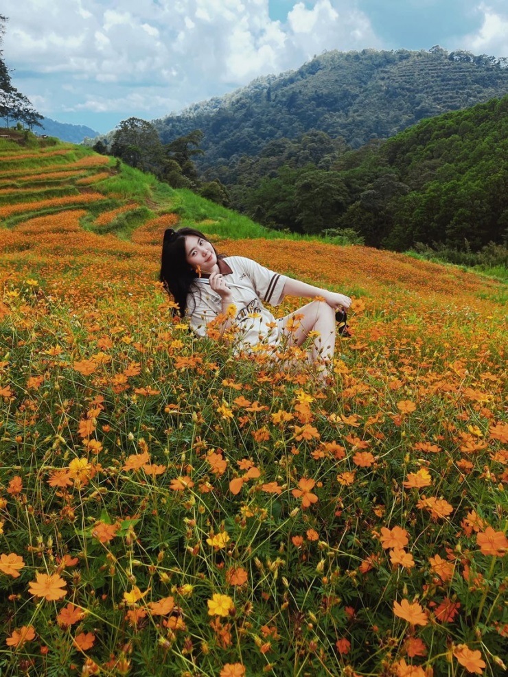 Nghỉ lễ 30/4 - 1/5: Khách đổ xô về Lâm Đồng, "cơn mưa" tiền tỷ đổ vào túi các nhà làm du lịch 6 Ngẩn ngơ với đồi hoa đẹp như cổ tích ở Hòa Bình - 5