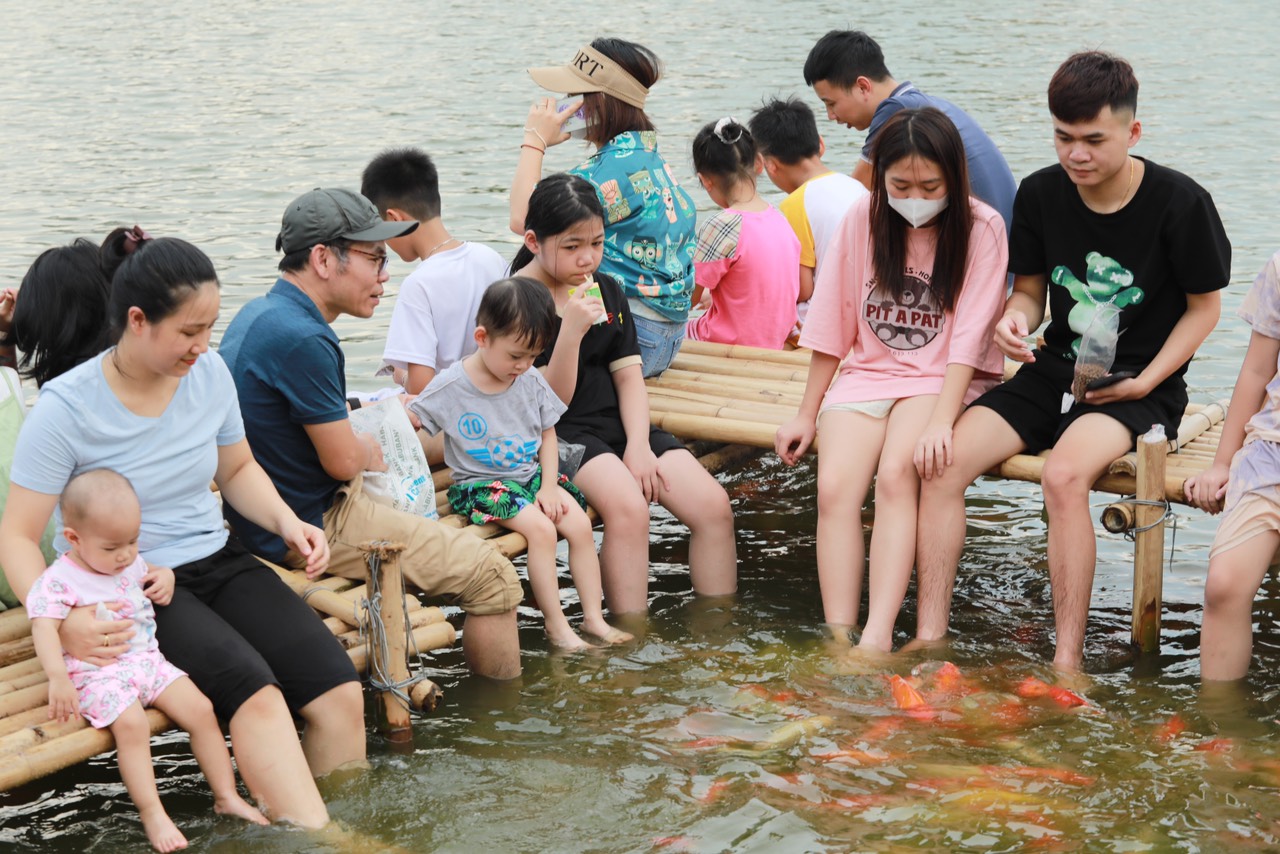 Đàn cá Koi hàng nghìn con thả ở hồ Đầm Đông, người dân Hà Nội tấp nập đến cho ăn - 7