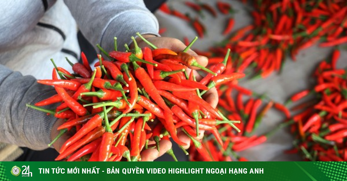 Korea recalls Vietnamese dried chili peppers due to excess pesticide