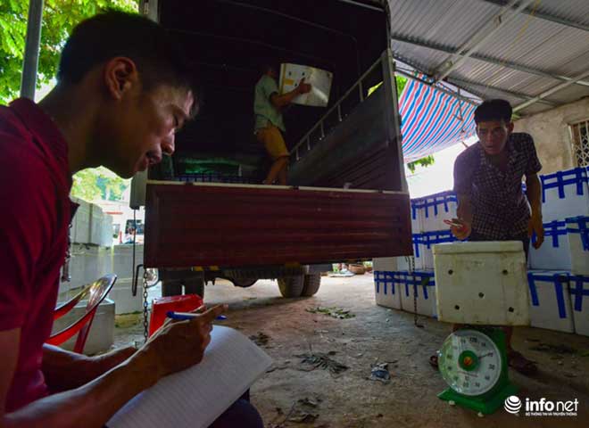 Chi Lăng vào mùa na, thương lái Việt Nam -Trung Quốc cạnh tranh tìm hàng "đẹp" - 4