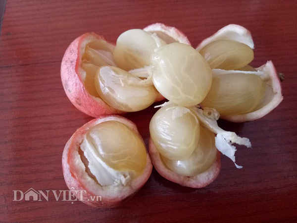 Đặc sản Tây Bắc: 