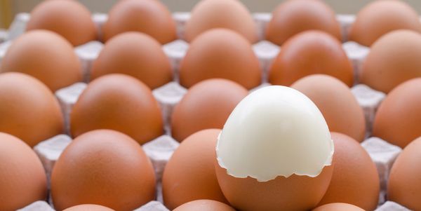 Mẹo để có những món trứng hấp dẫn nhất - 1