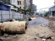 Hà Nội: Dự án 1km, đội vốn hơn 500 tỷ, thi công 10 năm chưa xong Hà Nội: Dự án 1km, đội vốn hơn 500 tỷ, thi công 10 năm chưa xong