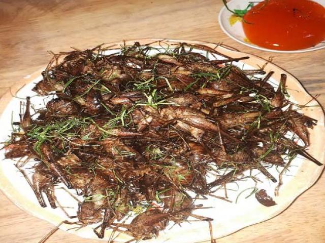 Đặc sản côn trùng chôm chôm ở Tây Bắc ”nhìn thì ghê nhưng ăn là mê”