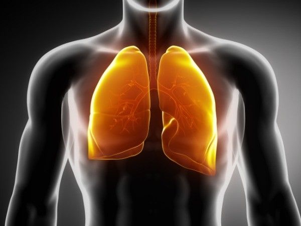 Những “thủ phạm” giấu mặt gây ung thư phổi - 1