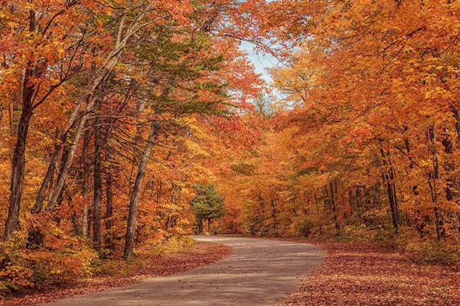 Những hình ảnh đẹp nhất về mùa thu ở Canada  BlogAnChoi