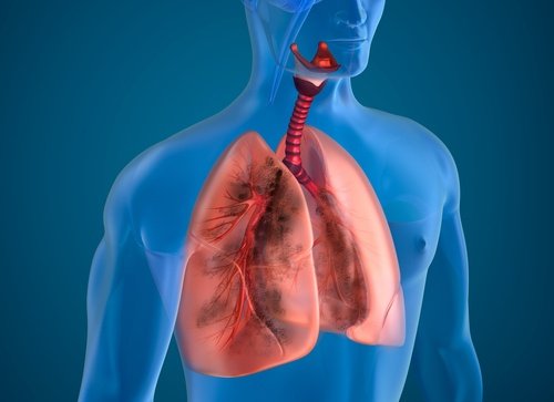 10 cách giúp thanh lọc phổi tự nhiên hiệu quả - 1