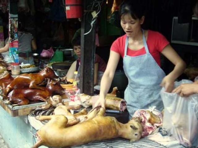 Dự kiến cấm bán thịt chó ở nhiều quận nội thành Hà Nội từ 2021