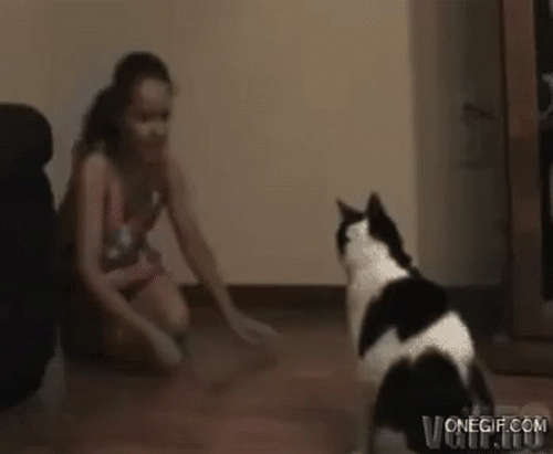 Con sen cười ngả nghiêng với các boss mèo lầy lội - 1