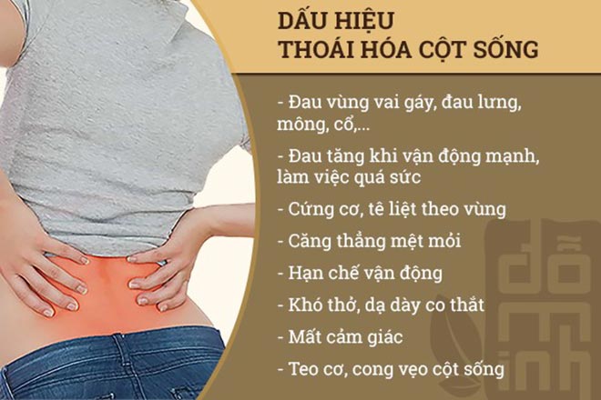 Thoái hóa cột sống: Nguyên nhân, triệu chứng và cách điều trị hiệu quả - 1