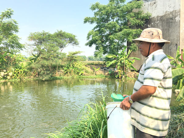 Tỷ phú nuôi cá nước ngọt đất Quảng Nam