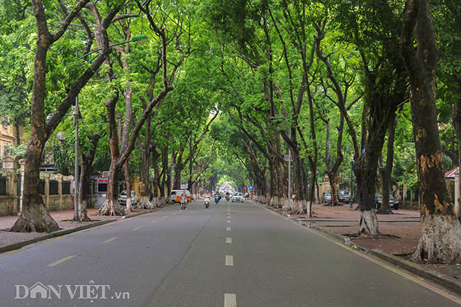 Những Con Đường 