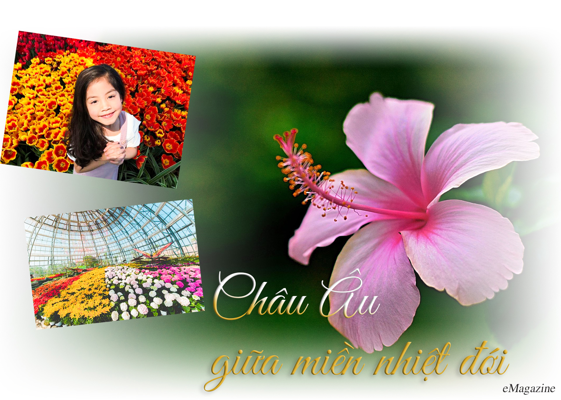 Khám phá khu vườn “kỳ hoa dị thảo” trên đảo kỷ lục tại Nha Trang - 5