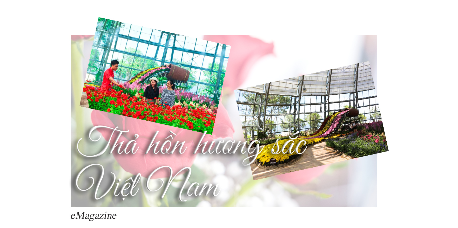 Khám phá khu vườn “kỳ hoa dị thảo” trên đảo kỷ lục tại Nha Trang - 9