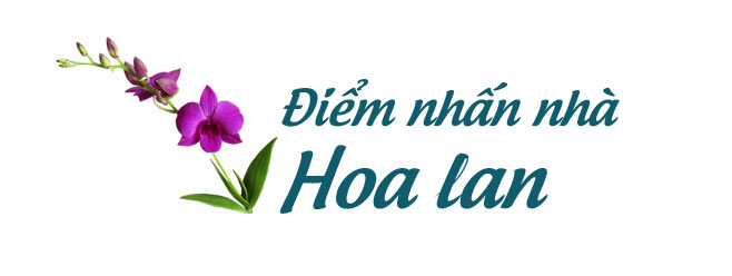 Khám phá khu vườn “kỳ hoa dị thảo” trên đảo kỷ lục tại Nha Trang - 10