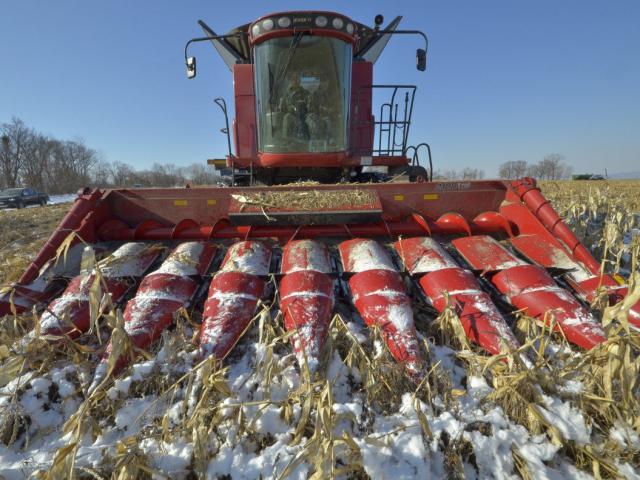 Ngừng mua nông sản Mỹ, Trung Quốc nhận “gáo nước lạnh” từ Nga
