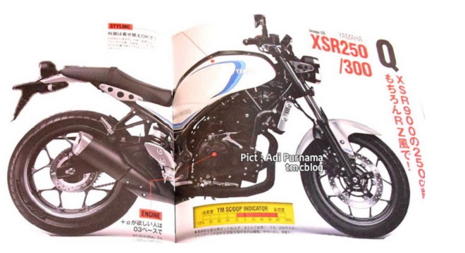 Yamaha phát triển XSR250/XSR300, đối trọng với Honda CB300R? - 1