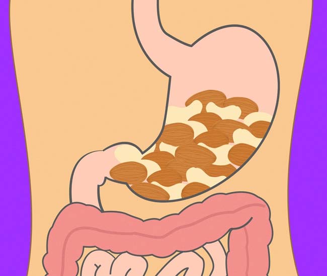 Bất ngờ với thời gian để cơ thể tiêu hóa các thực phẩm quen thuộc - 12