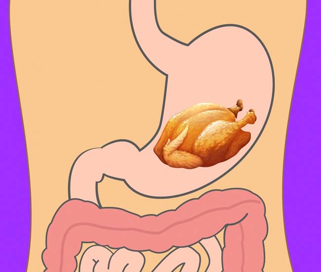 Bất ngờ với thời gian để cơ thể tiêu hóa các thực phẩm quen thuộc - 13