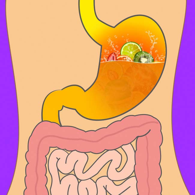 Bất ngờ với thời gian để cơ thể tiêu hóa các thực phẩm quen thuộc - 4