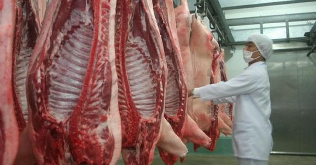 Dịch tả lợn phải tiêu hủy gần 5 triệu con cũng không lo thiếu thịt lợn vào cuối năm