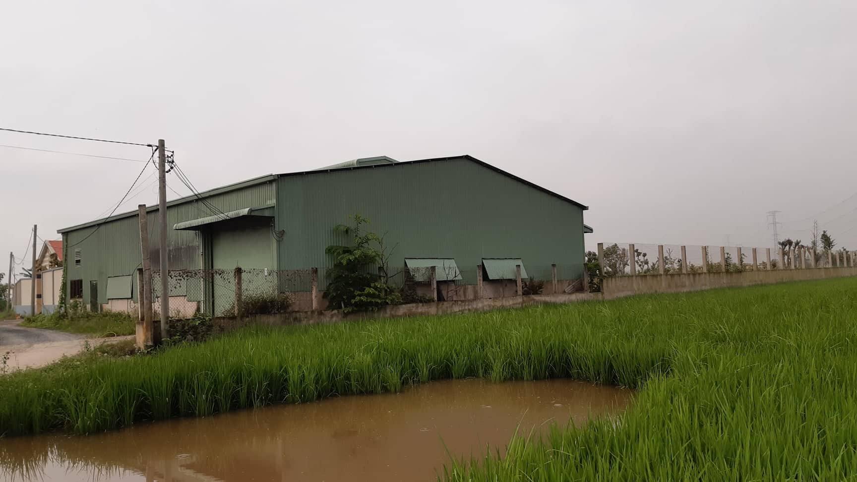 Nghi án chủ trại vịt giàu có đâm vợ trẻ tử vong - 2