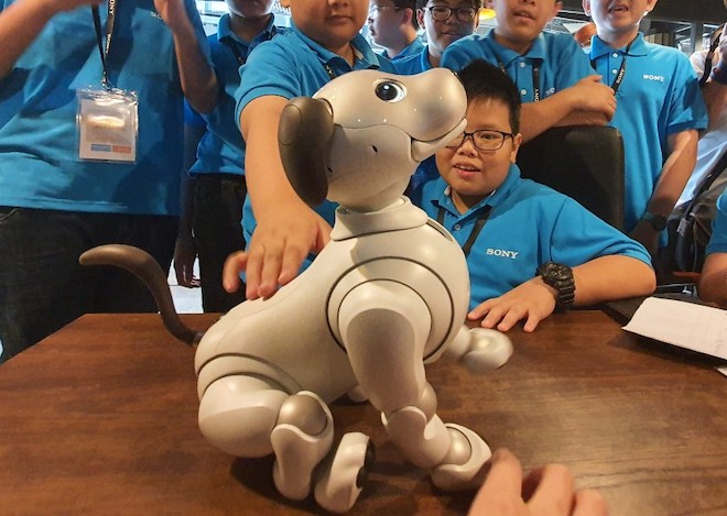 Học sinh TP.HCM hào hứng khám phá chó thông minh của Sony và công nghệ MESH - 2