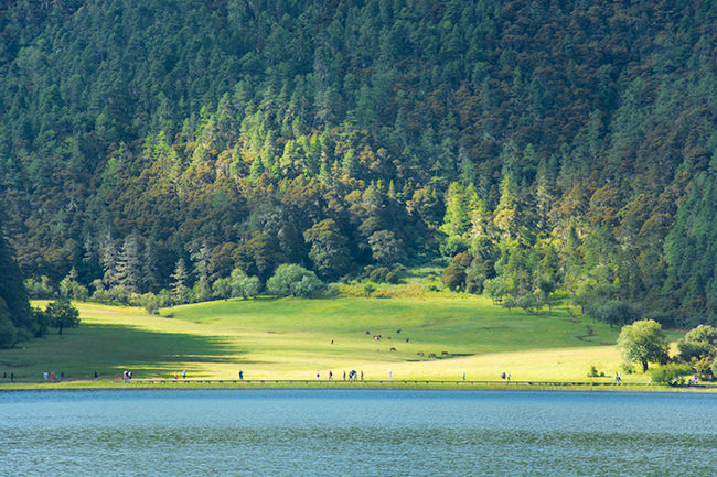12 công viên quốc gia tuyệt vời nhất Trung Quốc, bạn nhất định nên ghé qua khi hết dịch - 4