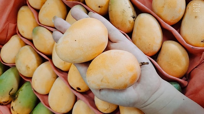 Xoài mini hạt lép bán tràn lan ở chợ, chị em mua tới tấp dù không biết ...