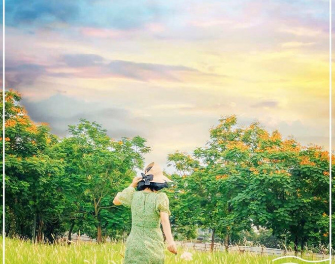 Cánh đồng lau ngay giữa trung tâm Hà Nội: Đẹp hoang sơ nhưng lên hình “chill” cực kỳ - 5