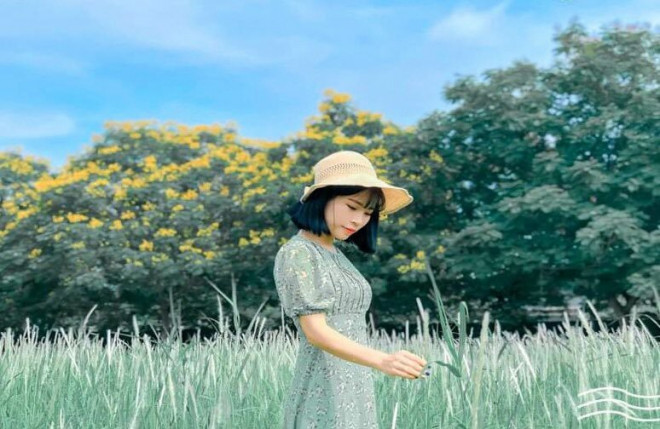 Cánh đồng lau ngay giữa trung tâm Hà Nội: Đẹp hoang sơ nhưng lên hình “chill” cực kỳ - 3