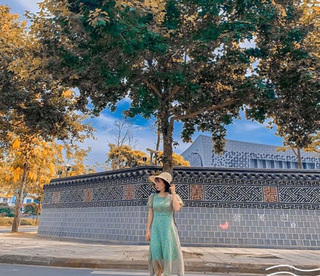 Cánh đồng lau ngay giữa trung tâm Hà Nội: Đẹp hoang sơ nhưng lên hình “chill” cực kỳ - 6