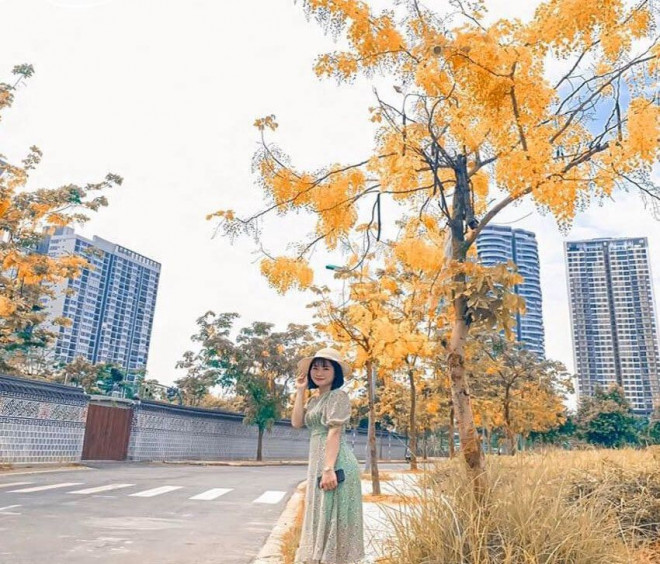 Cánh đồng lau ngay giữa trung tâm Hà Nội: Đẹp hoang sơ nhưng lên hình “chill” cực kỳ - 7