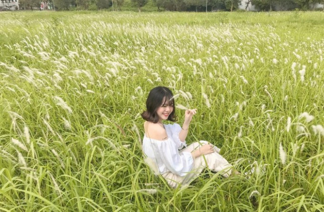 Cánh đồng lau ngay giữa trung tâm Hà Nội: Đẹp hoang sơ nhưng lên hình “chill” cực kỳ - 10