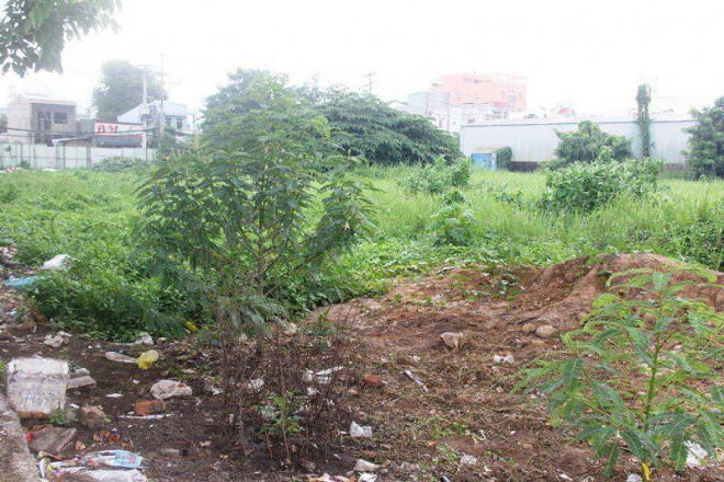Cận cảnh phố biệt thự của Sagri liên quan đến ông Trần Vĩnh Tuyến - 11