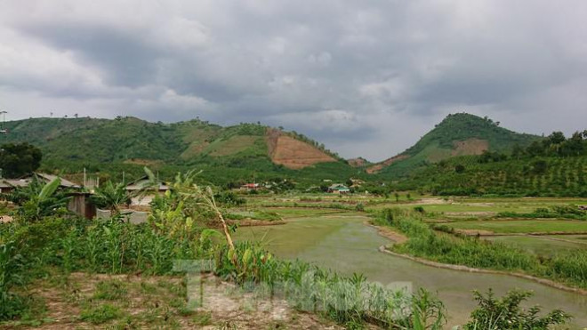 Đắk Nông: Cận cảnh những giấy cam kết không tiêm chủng 'rất lạ' - 8