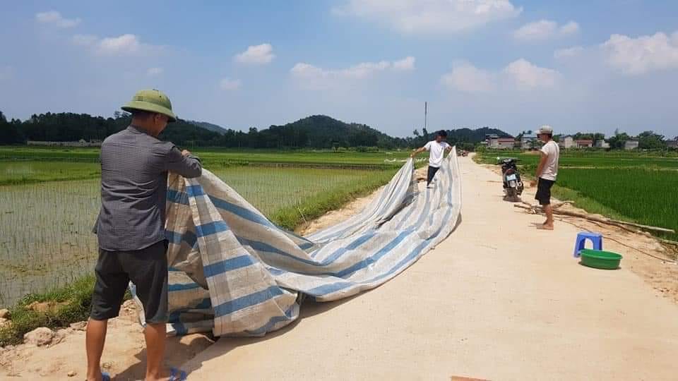 Tin tức 24h qua: Tuyên án vụ em gái đầu độc chị họ bằng trà sữa vì yêu anh rể - 4