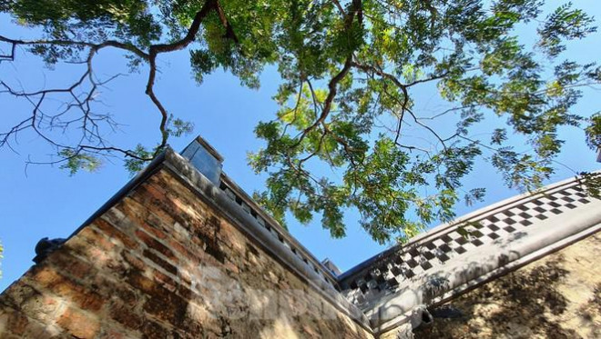 Bên trong đấu trường mãnh thú cổ xưa, chỉ còn ở Việt Nam - 3
