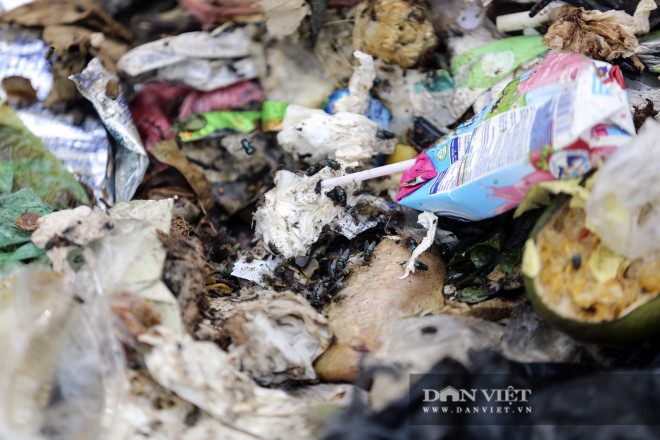 Kinh hoàng rác thải "bủa vây" khu tập luyện của vận động viên thể thao quốc gia - 3