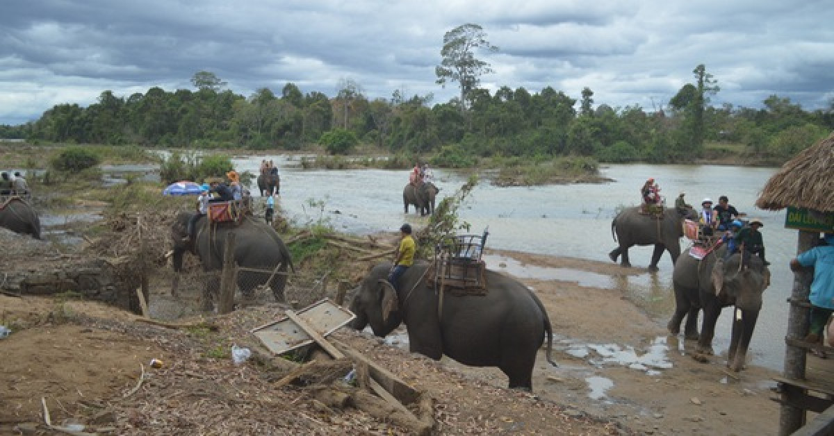 Tin tức 24h qua: Cô gái xả rác “ngập” phòng khách sạn để trả đũa gây “bão” mạng - 4