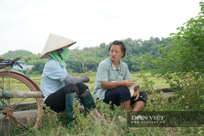 100 cây hoa sữa tươi tốt, đâm chồi nảy lộc sau một năm đến bãi rác Nam Sơn - 9