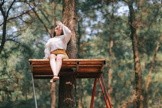 Ghé thăm rừng thông lớn nhất Hà Nội, cực hợp “đi đu đưa” với hội cạ cứng mùa Hè này - 7